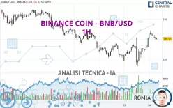 BINANCE COIN - BNB/USD - 1 Std.