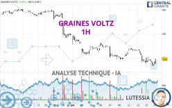 GRAINES VOLTZ - 1H