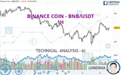 BINANCE COIN - BNB/USDT - 1H