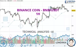 BINANCE COIN - BNB/USDT - 1H