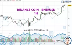 BINANCE COIN - BNB/USD - 1 Std.