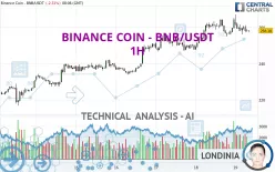 BINANCE COIN - BNB/USDT - 1H