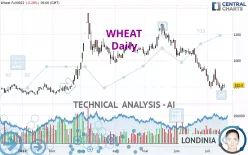 WHEAT - Daily