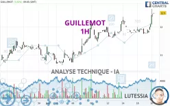 GUILLEMOT - 1 uur