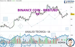 BINANCE COIN - BNB/USD - 1 Std.