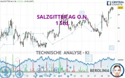 SALZGITTER AG O.N. - 1 Std.