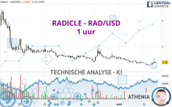 RADWORKS - RAD/USD - 1 uur