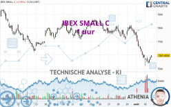 IBEX SMALL C - 1 uur