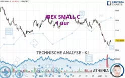 IBEX SMALL C - 1 uur