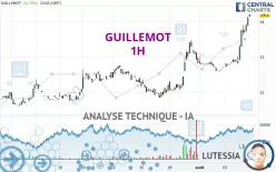 GUILLEMOT - 1 uur