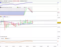 BITCOIN - BTC/USDT - 30 min.