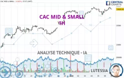 CAC MID &amp; SMALL - 1 Std.