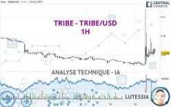 TRIBE - TRIBE/USD - 1H