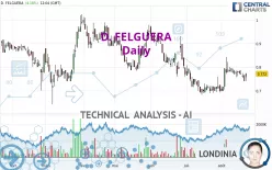 D. FELGUERA - Daily