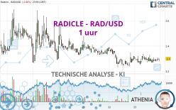 RADWORKS - RAD/USD - 1 uur