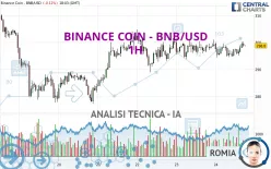 BINANCE COIN - BNB/USD - 1 Std.