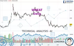 WHEAT - Daily