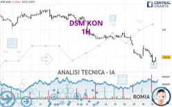 DSM KON - 1H