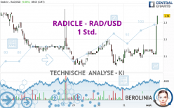 RADWORKS - RAD/USD - 1 Std.