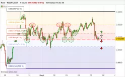 REEF - REEF/USDT - 1H