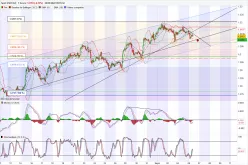 USD/CAD - 1 Std.