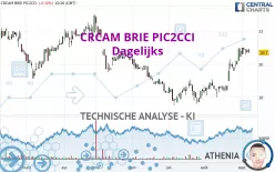 CRCAM BRIE PIC2CCI - Dagelijks