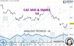 CAC MID &amp; SMALL - 1H