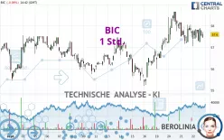 BIC - 1 Std.