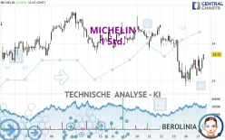 MICHELIN - 1H