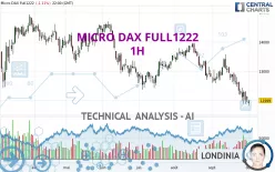 MICRO DAX FULL0325 - 1 uur