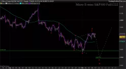 MICRO E-MINI S&amp;P500 FULL0325 - 1 Std.