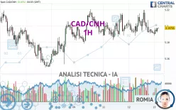 CAD/CNH - 1 uur