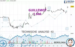 GUILLEMOT - 1 Std.