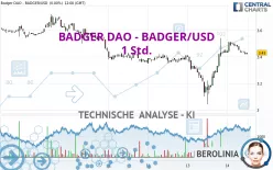 BADGER DAO - BADGER/USD - 1 Std.