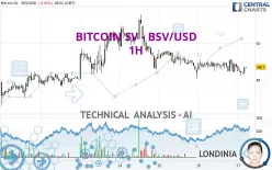 BITCOIN SV - BSV/USD - 1H