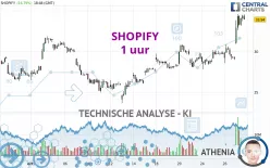 SHOPIFY - 1 uur