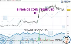 BINANCE COIN - BNB/USD - 1 Std.