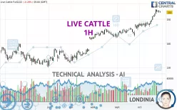 LIVE CATTLE - 1H