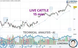 LIVE CATTLE - 15 min.