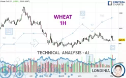 WHEAT - 1H