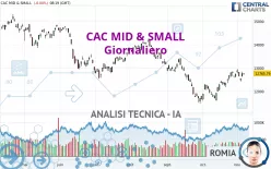 CAC MID &amp; SMALL - Dagelijks