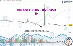 BINANCE COIN - BNB/USD - 1 Std.