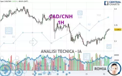 CAD/CNH - 1 uur