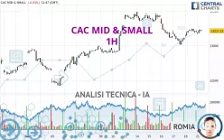 CAC MID &amp; SMALL - 1 uur