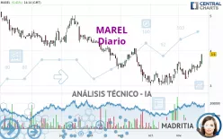 MAREL - Diario