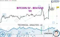 BITCOIN SV - BSV/USD - 1H