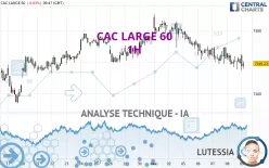 CAC LARGE 60 - 1H