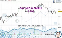 CAC MID &amp; SMALL - 1 Std.