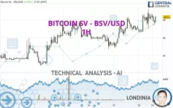 BITCOIN SV - BSV/USD - 1H