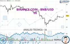 BINANCE COIN - BNB/USD - 1 Std.